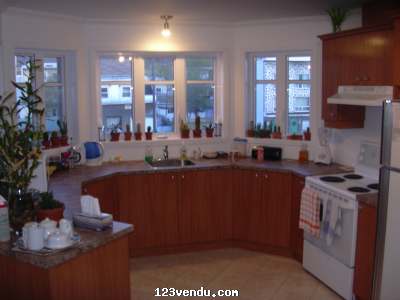 Annonces classees img:preview Recherche coloc dans basse-ville Québec