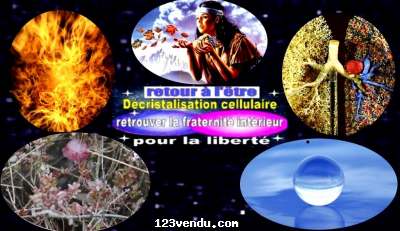 Annonces classees img:preview initiations aux énergie