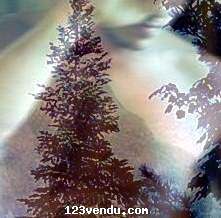 Annonces classees img:preview Solution pour Hommes 20/50