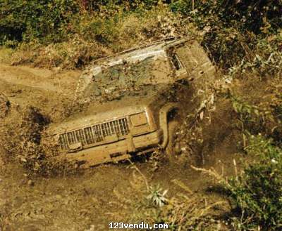 Annonces classees img:2 