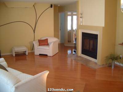 Annonces classees img:1 