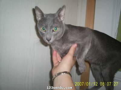 Annonces classees img:2 