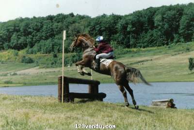 Annonces classees img:preview PORTES OUVERTES LE 6 MAI !