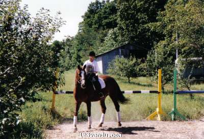 Annonces classees img:2 