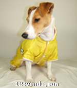 Annonces classees img:preview water prove jacket