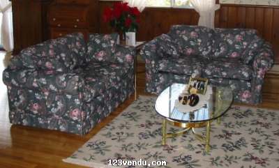 Annonces classees img:preview Mobilier salon