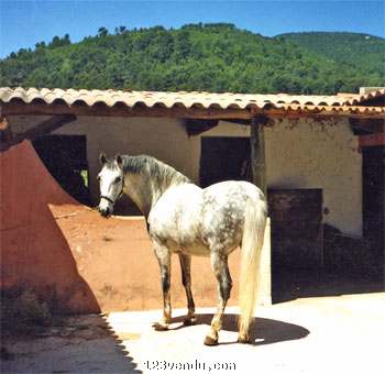 Annonces classees img:1 