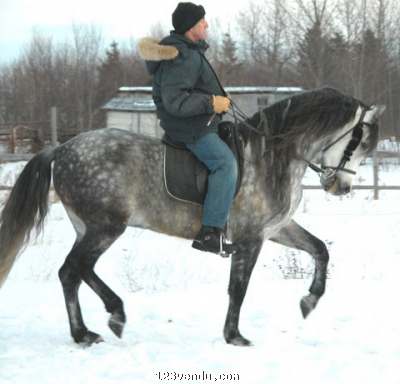 Annonces classees img:1 