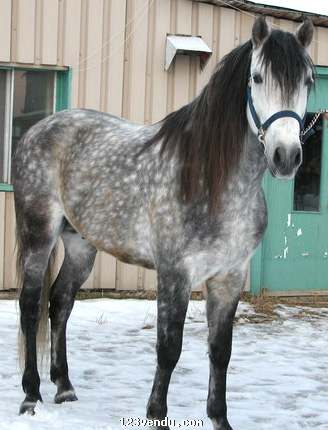 Annonces classees img:2 