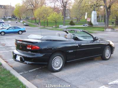 Annonces classees img:1 