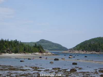 Annonces classees img:1 