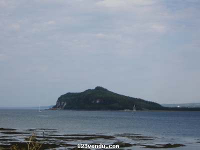 Annonces classees img:2 