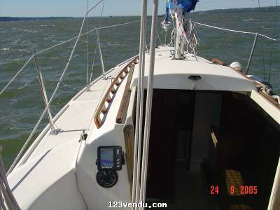 Annonces classees img:1 