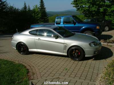 Annonces classees img:preview Tiburon 2003 modifier