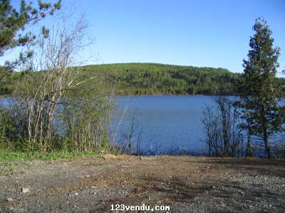 Annonces classees img:2 