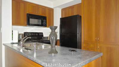 Annonces classees img:1 