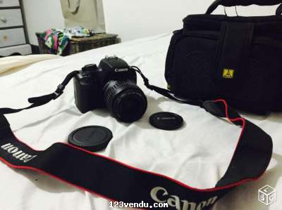 Annonces classees img:1 