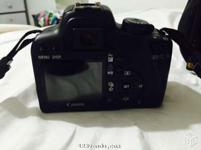 Annonces classees img:2 