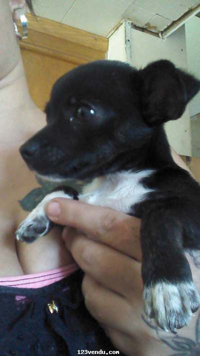 Annonces classees img:1 