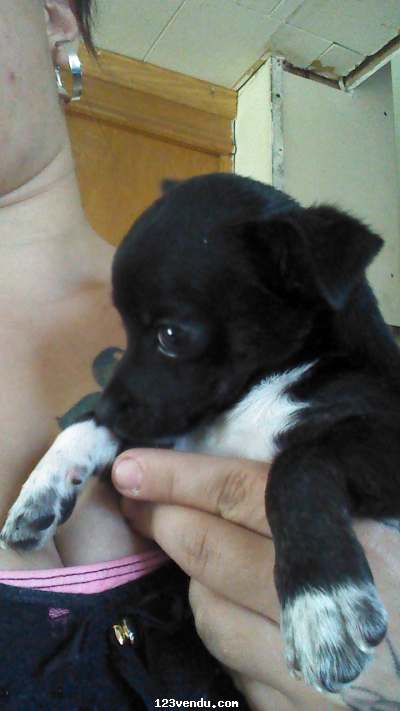 Annonces classees img:2 