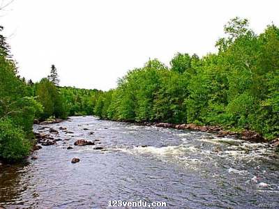 Annonces classees img:2 