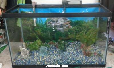 Annonces classees img:preview Aquarium 30 x 18 x 12