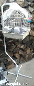 Annonces classees img:preview Cage d