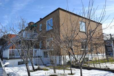 Annonces classees img:1 