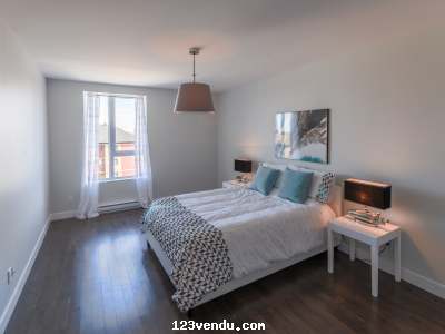 Annonces classees img:1 