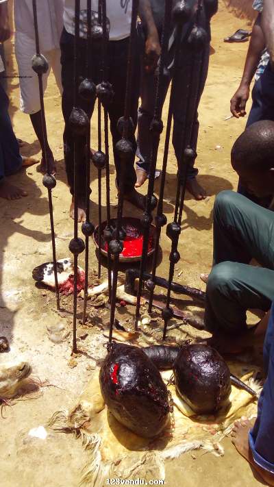 Annonces classees img:preview Grand Marabout Vodoun voyant médium