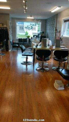 Annonces classees img:1 