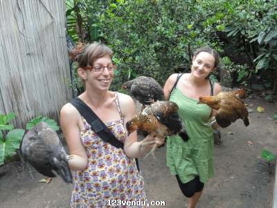 Annonces classees img:2 