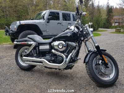 Annonces classees img:1 