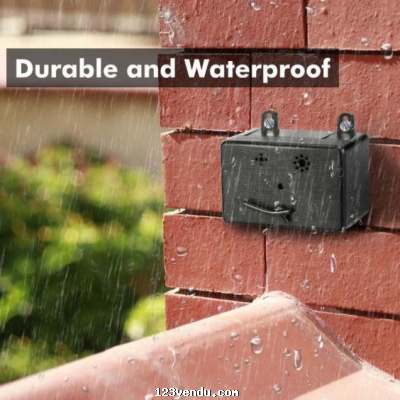 Annonces classees img:1 