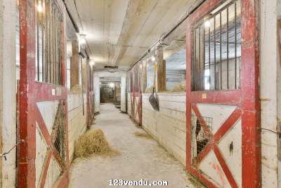 Annonces classees img:2 