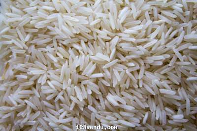 Annonces classees img:2 