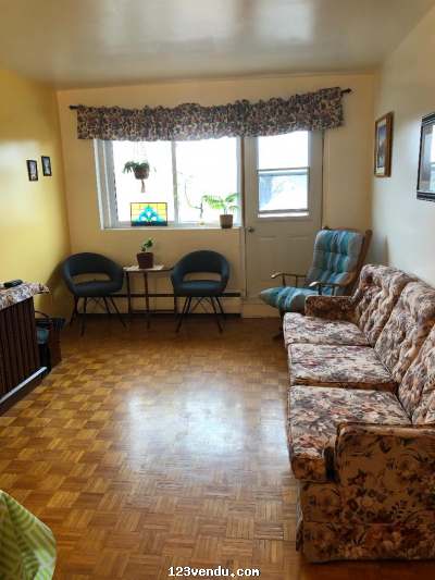 Annonces classees img:1 