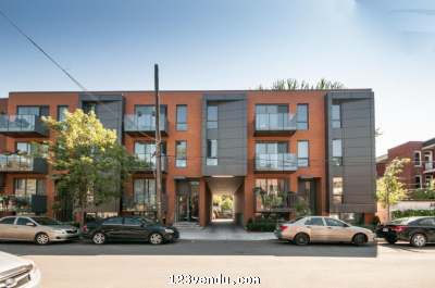 Annonces classees img:preview Condo a louer