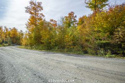 Annonces classees img:2 