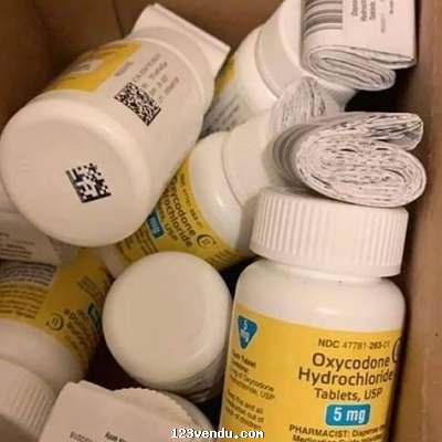 Annonces classees img:1 