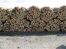 Annonces classees img:preview Bois de Chauffage sec
