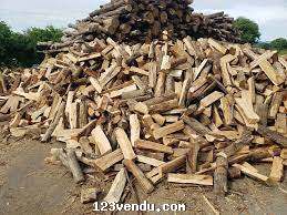 Annonces classees img:1 