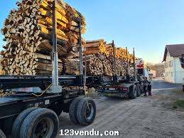 Annonces classees img:2 