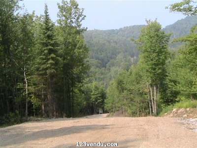 Annonces classees img:preview grand terrain de 50 acres