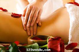 Annonces classees img:preview EUROPEAN professionnal ESTHETIC/THERAPEUTIC 514-400-6316