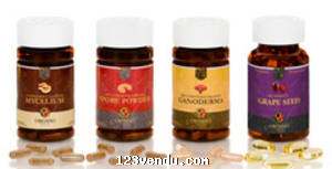 Annonces classees img:preview LE  GANODERMA  LUCIDUM ( REISHI )