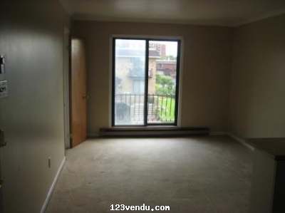 Annonces classees img:1 