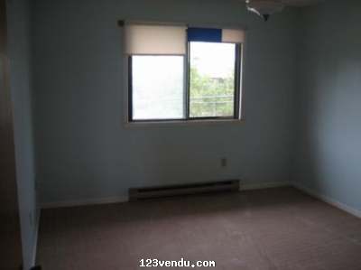 Annonces classees img:2 