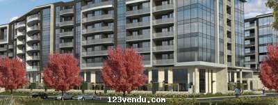 Annonces classees img:1 