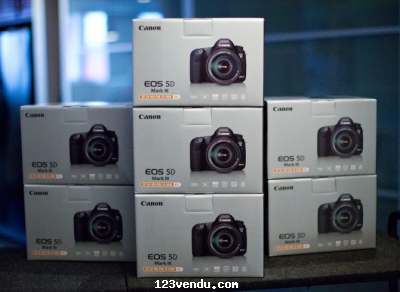 Annonces classees img:preview Canon EOS 5D Mark III + 24-105MM Lens